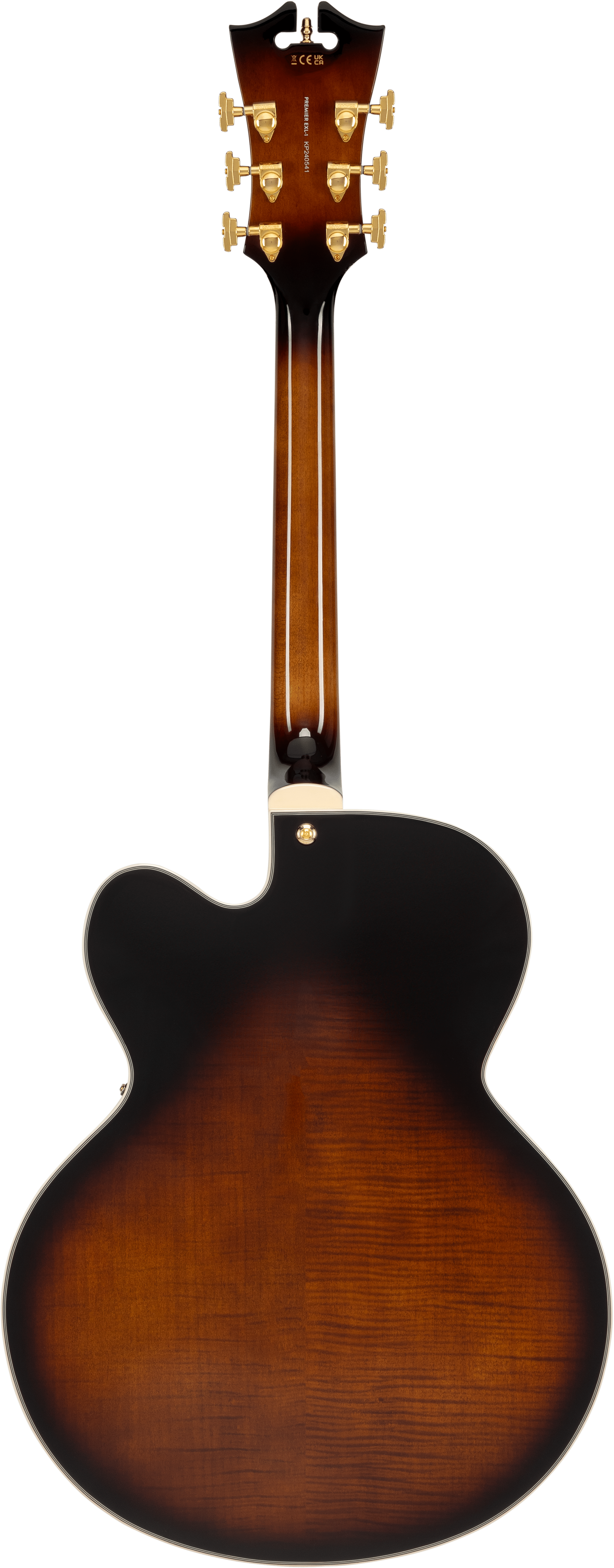 D'Angelico EXL-1 D'Angelico EXL-1 - immagine 6