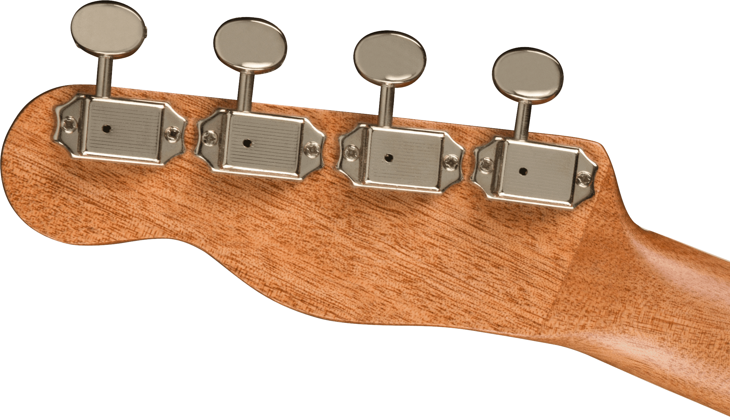 Fender Zuma Exotic Concert Ukulele Fender Zuma Exotic Concert Ukulele - immagine 3