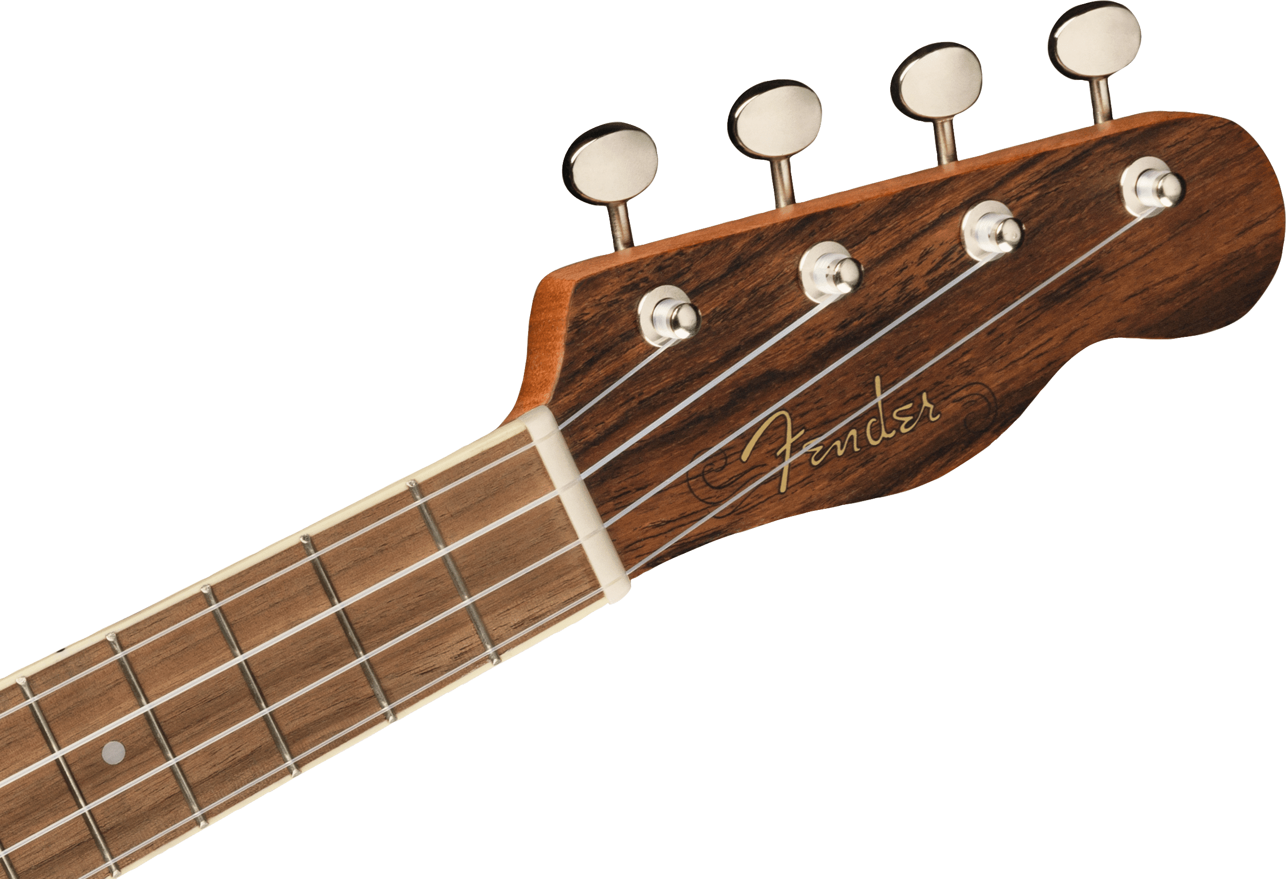 Fender Zuma Exotic Concert Ukulele Fender Zuma Exotic Concert Ukulele - immagine 4